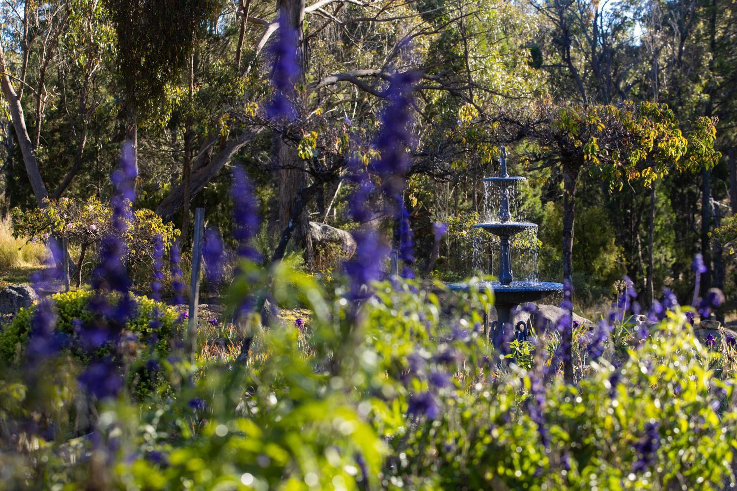 Girraween Country Inn Ballandean Extérieur photo